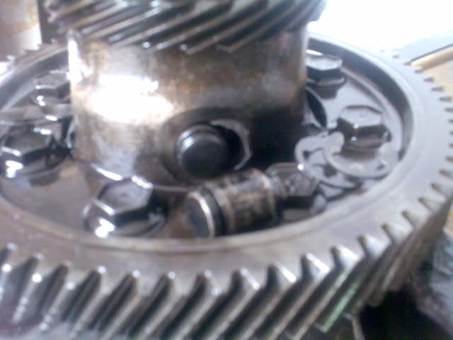 Andi sein Differenzial.